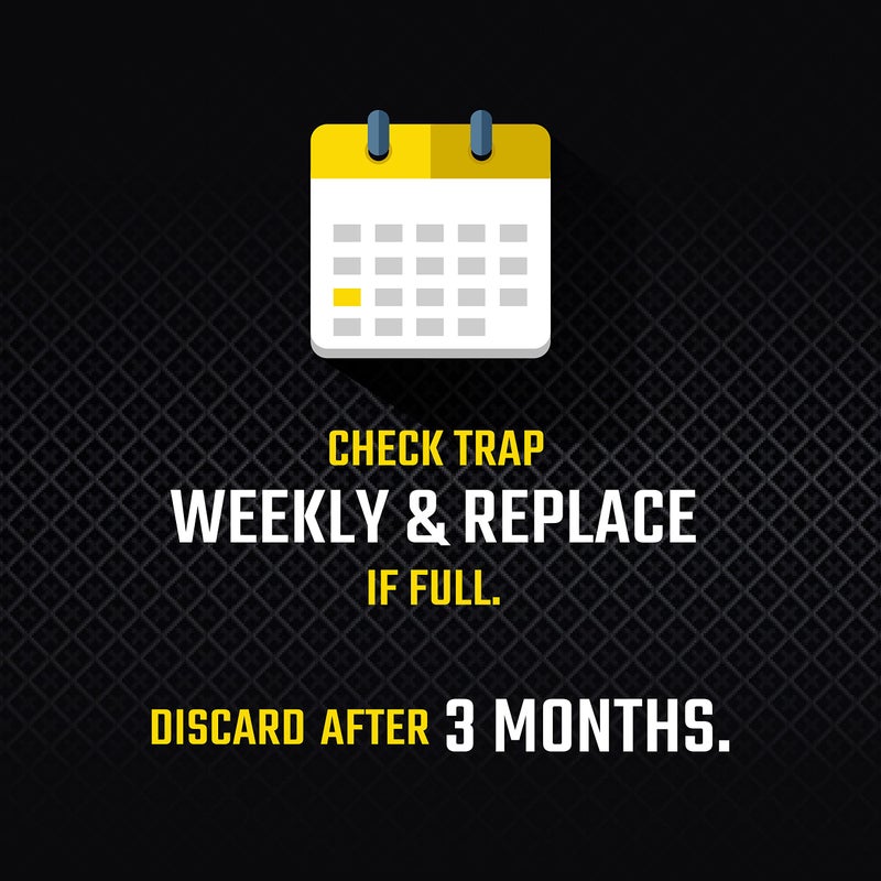 Black Flag Pantry Pest Glue Trap, 2 Count - Image 5